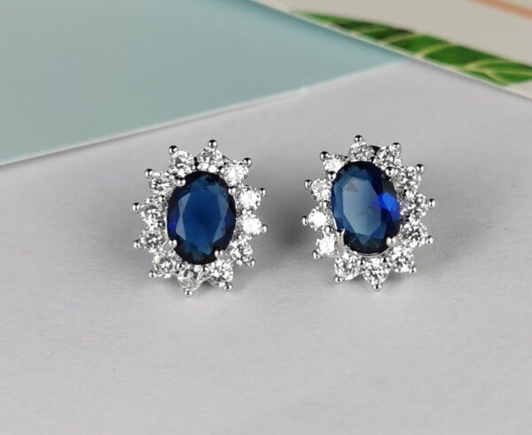 NE3339 BLU